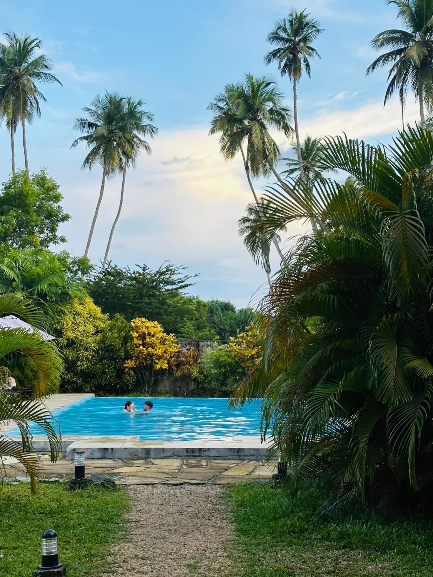 Green Parrot Beach Resort تانجالي المظهر الخارجي الصورة