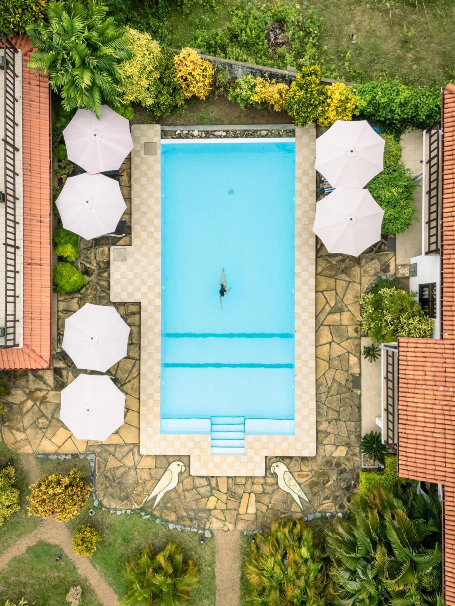 Green Parrot Beach Resort تانجالي المظهر الخارجي الصورة