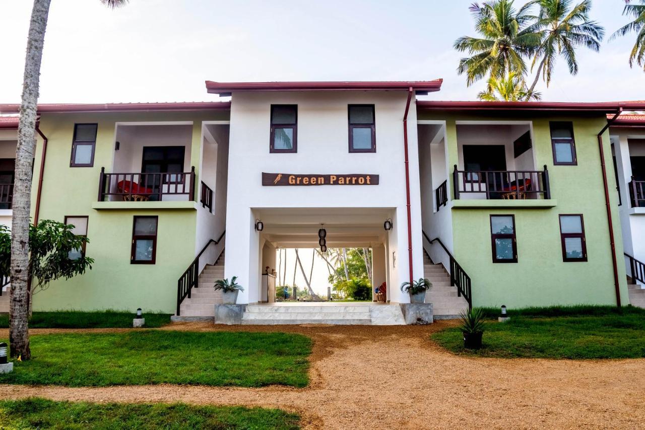 Green Parrot Beach Resort تانجالي المظهر الخارجي الصورة